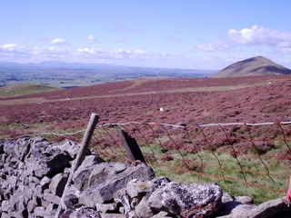 A skyline in the lake district